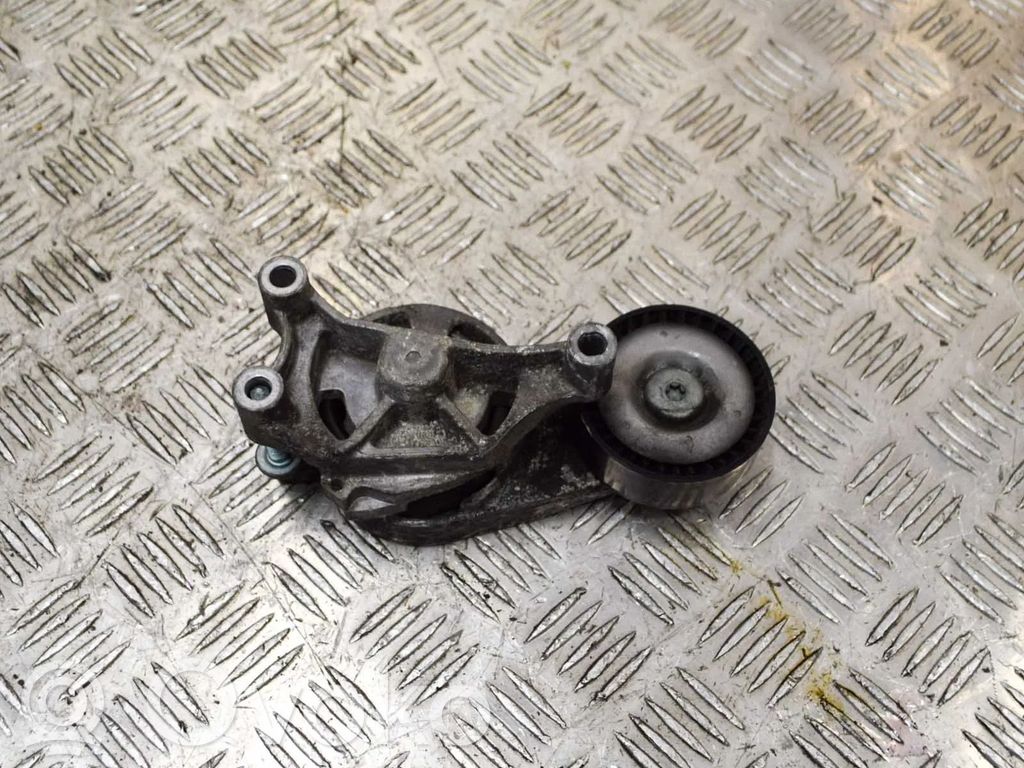 Audi A3 S3 8P Tensor de correa del alternador 