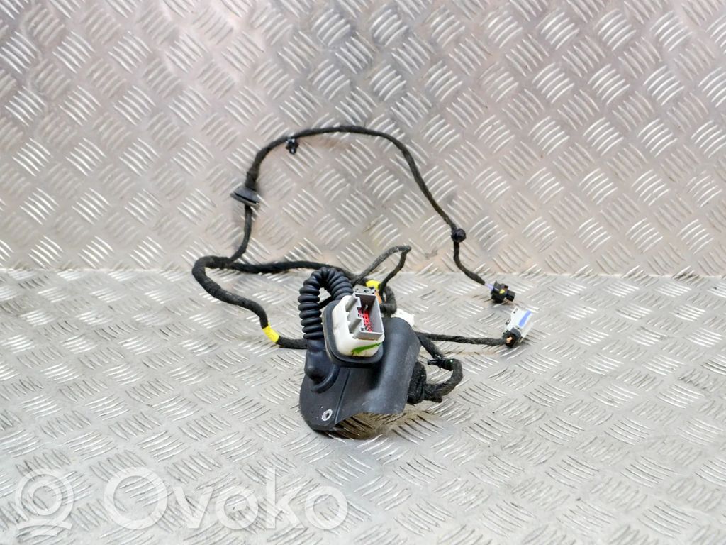Dodge RAM 1500 DS Cableado de puerta trasera 