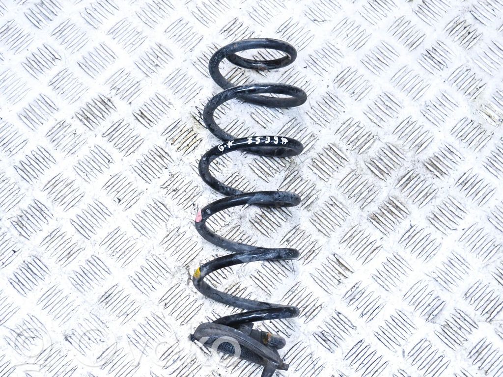 Rear coil spring
