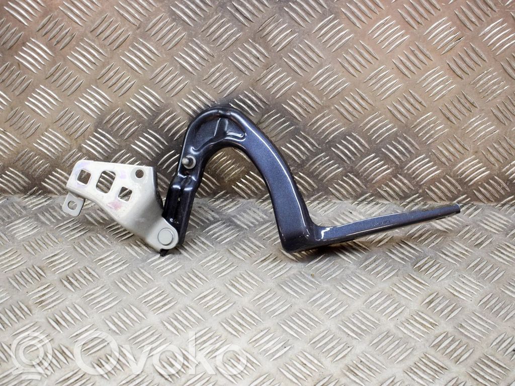 Tesla Model Y Engine bonnet/hood hinges 