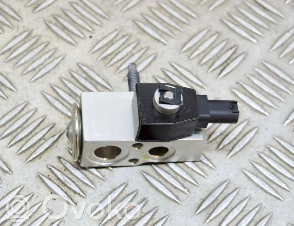 Ilmastointilaitteen laajennusventtiili (A/C)   110187800A