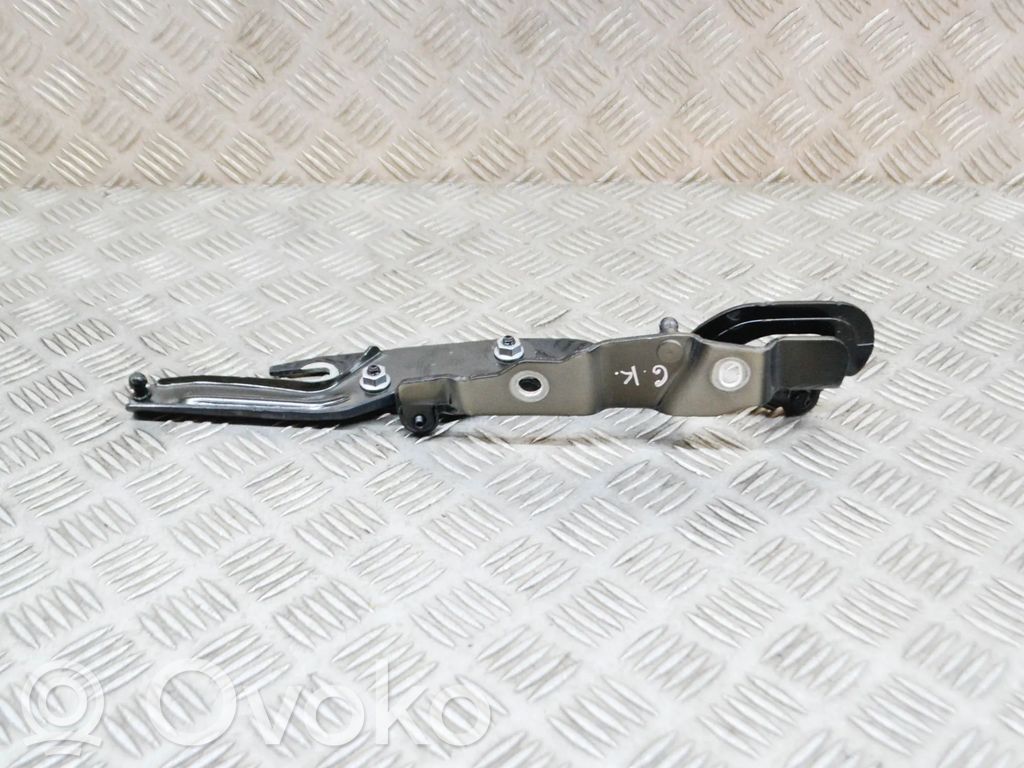 Audi A5 Tailgate/trunk/boot hinge 