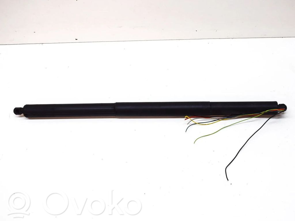 Tesla Model S Tailgate/trunk strut/damper 