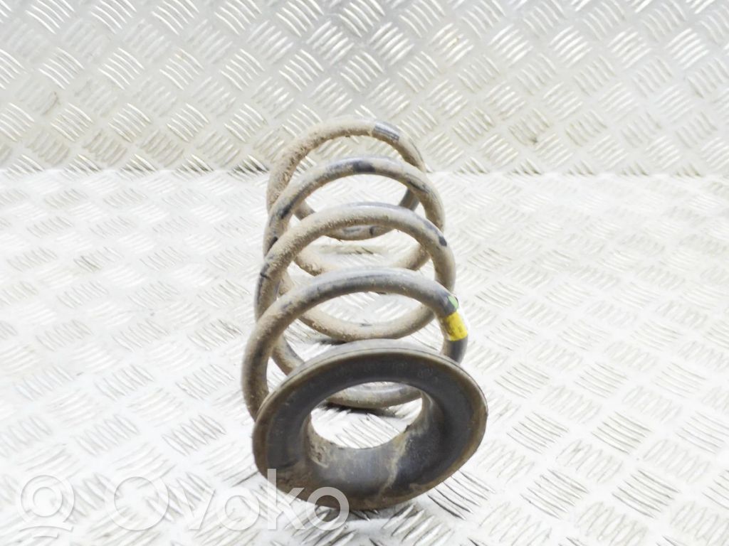Tesla Model 3 Rear coil spring 