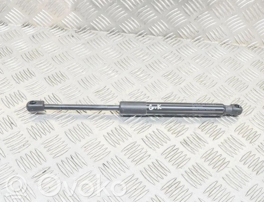 Tesla Model 3 Tailgate/trunk strut/damper 