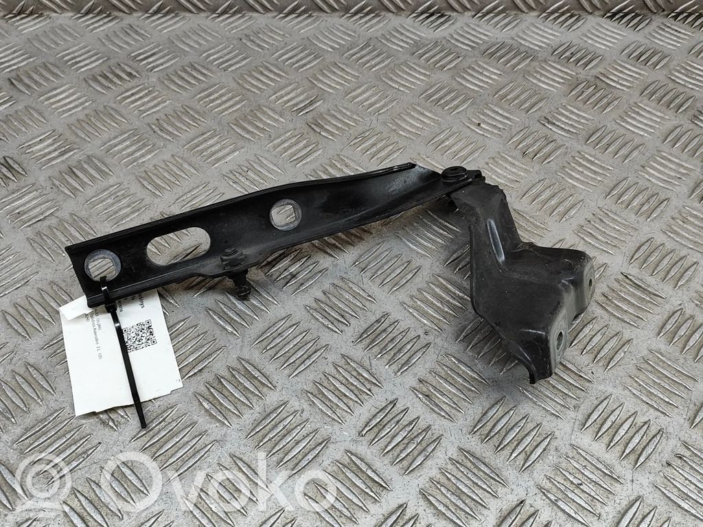Audi Q5 SQ5 8R Balamale capotă 