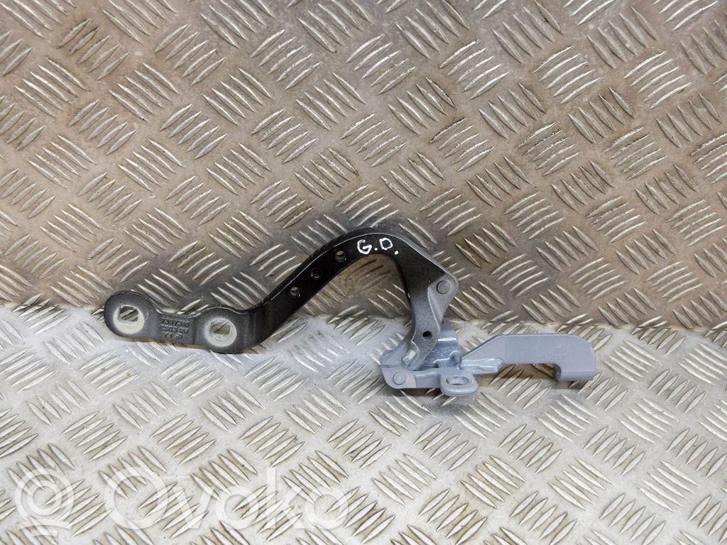 BMW X3 G01 Tailgate/trunk/boot hinge 