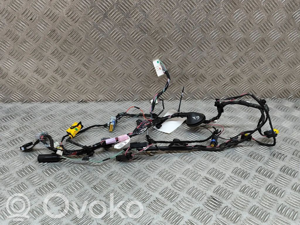 Tesla Model X Cableado de puerta trasera 