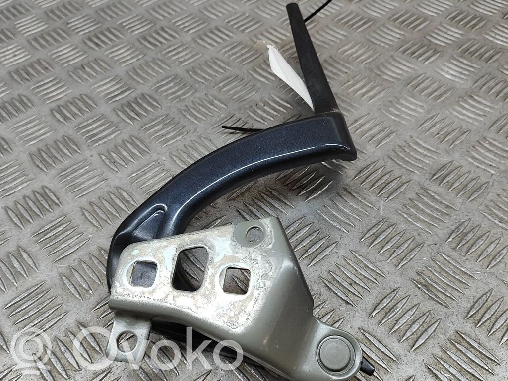 Tesla Model Y Engine bonnet/hood hinges 