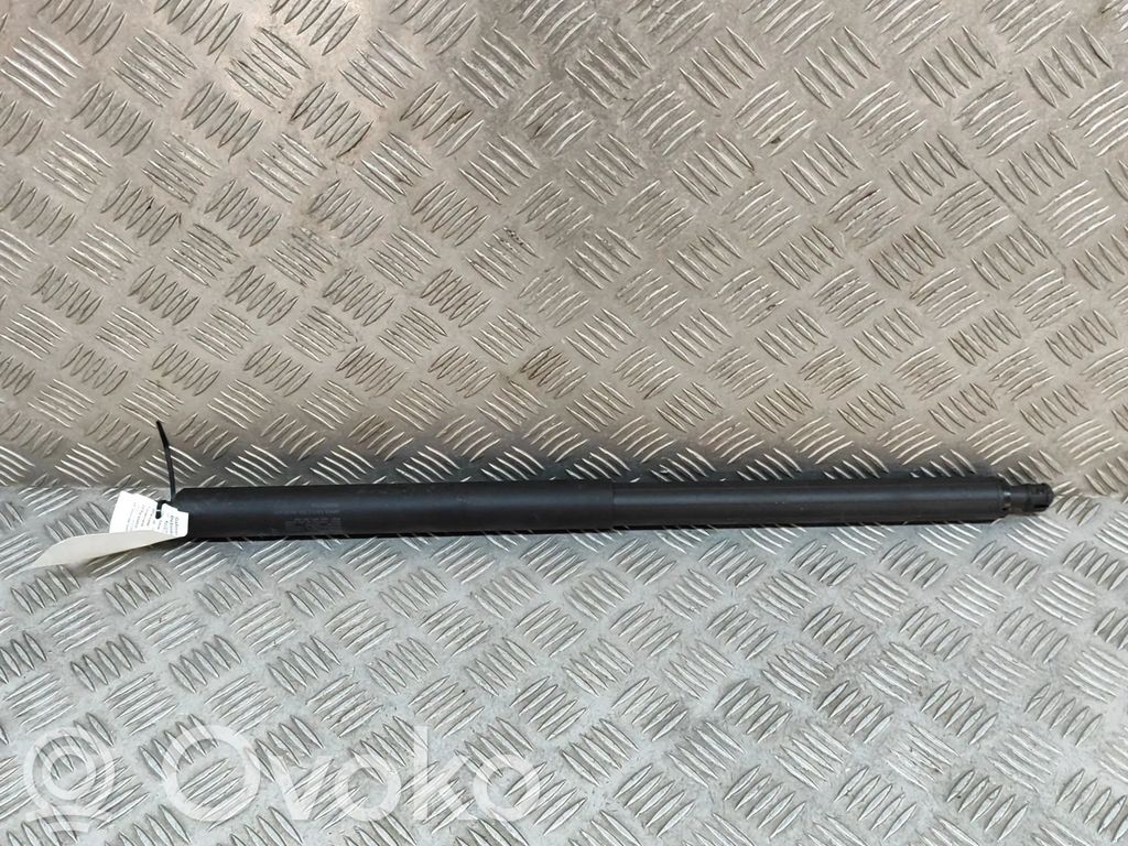 Tesla Model Y Amortizor hayon