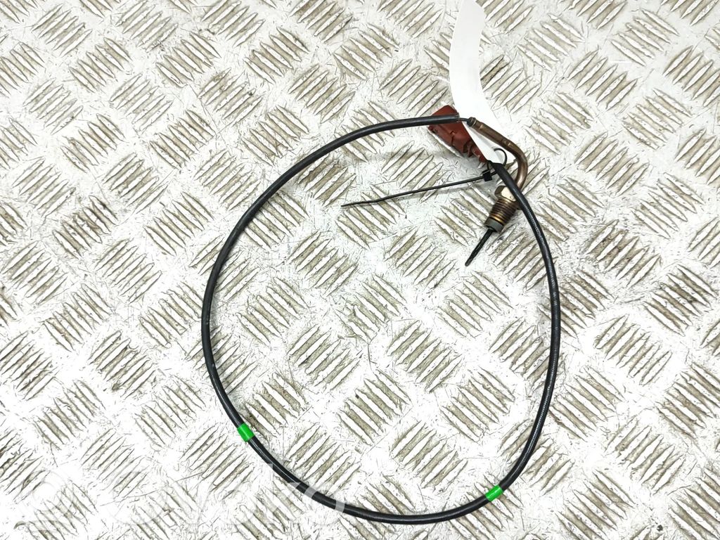 Skoda Yeti (5L) Exhaust gas temperature sensor 