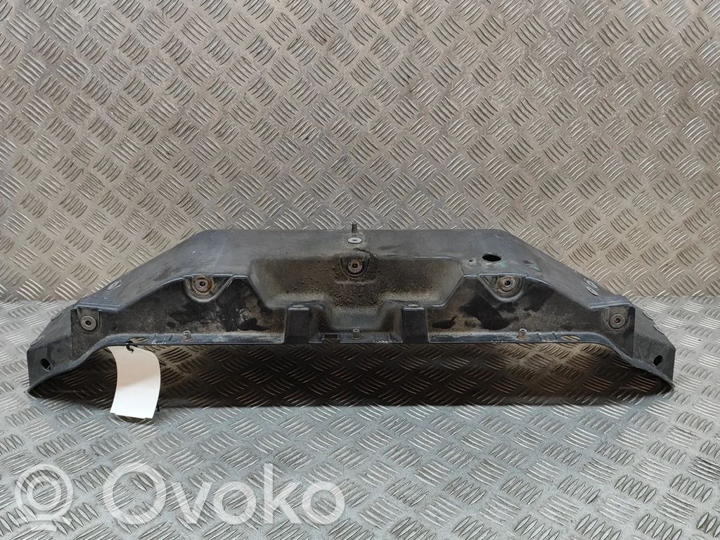 Tesla Model X Radiatorių panelė 