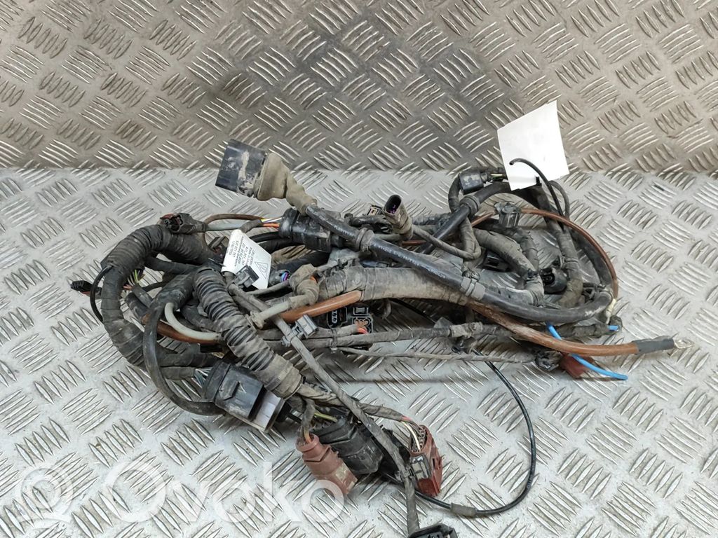 Otros cableados   9J1971772BR,9J1971767
