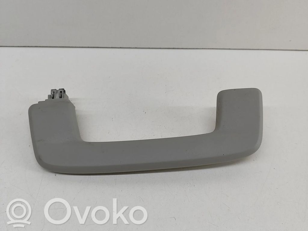 Audi e-tron Asidero interior delantero 