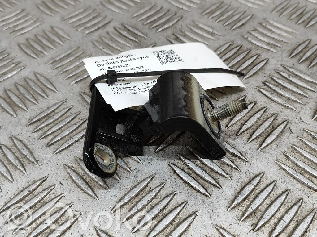 Audi Q4 e-tron Tailgate/trunk/boot hinge 