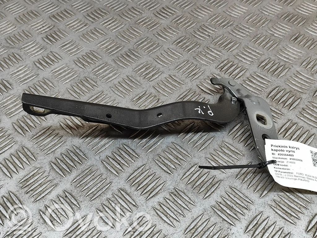 Ford Kuga III Engine bonnet/hood hinges 