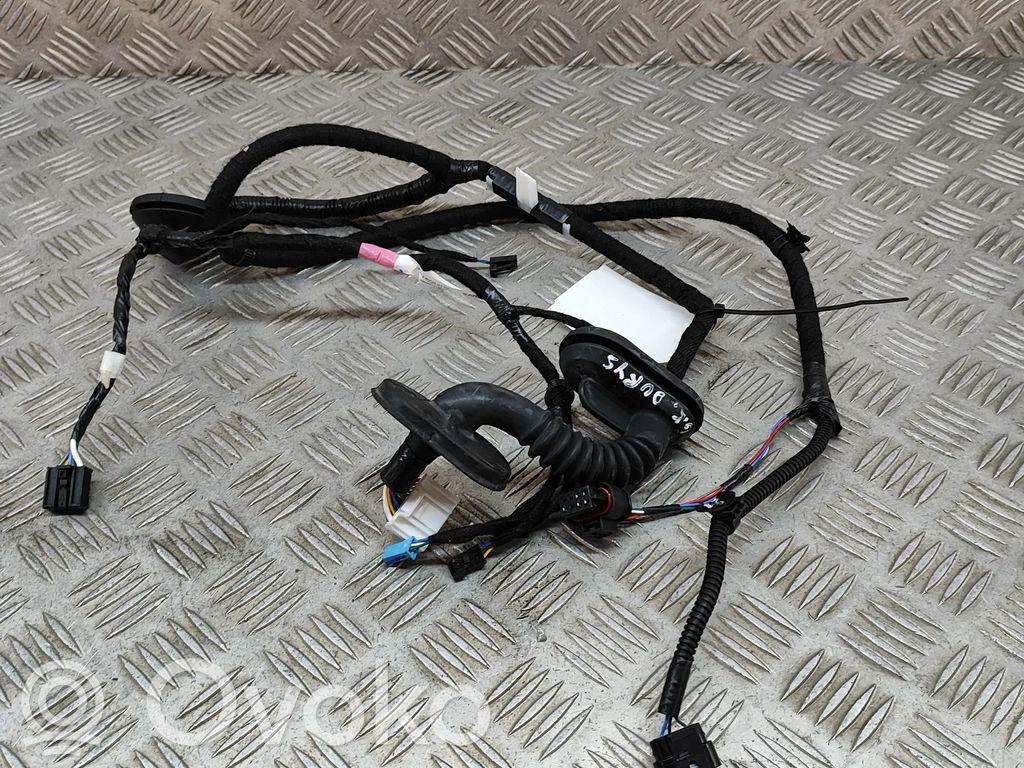 Tesla Model 3 Cableado de puerta trasera 
