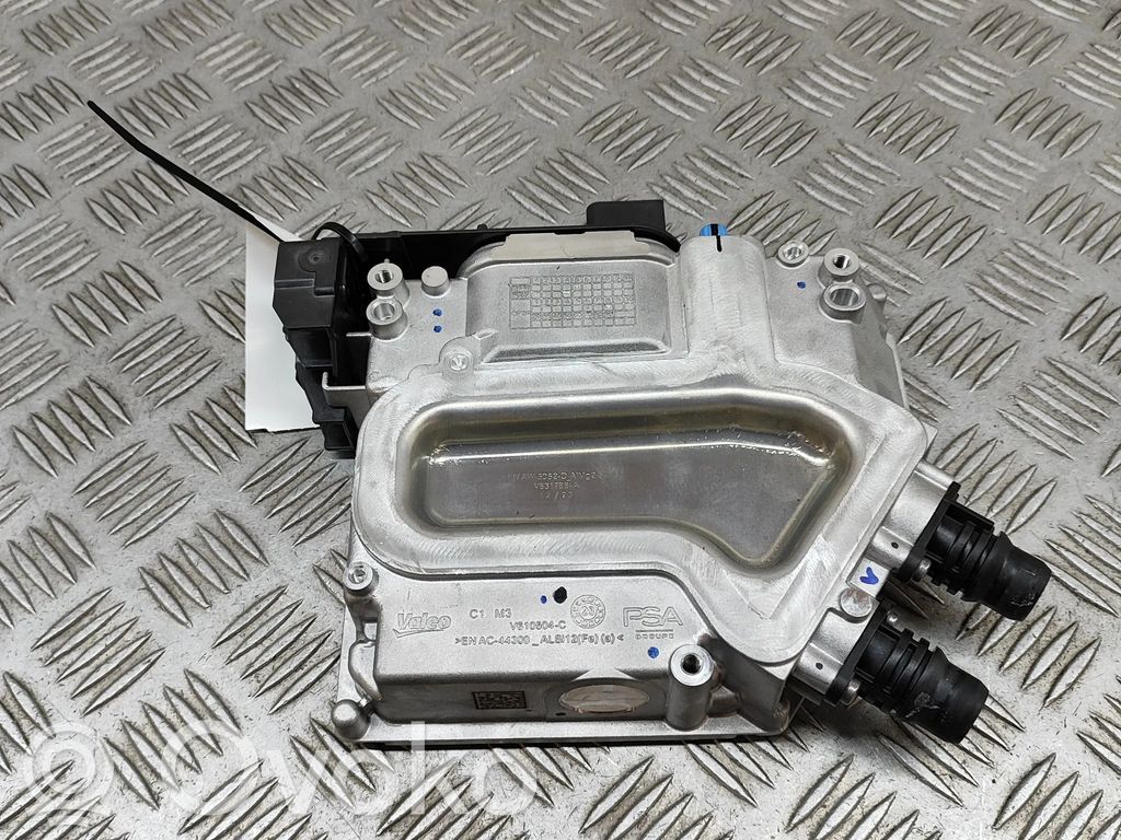 Peugeot 2008 II Other control units/modules 