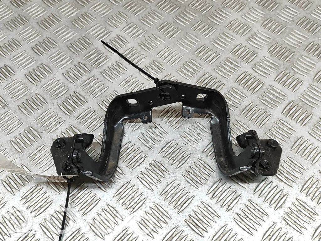 Jaguar F-Type Tailgate/trunk/boot hinge 