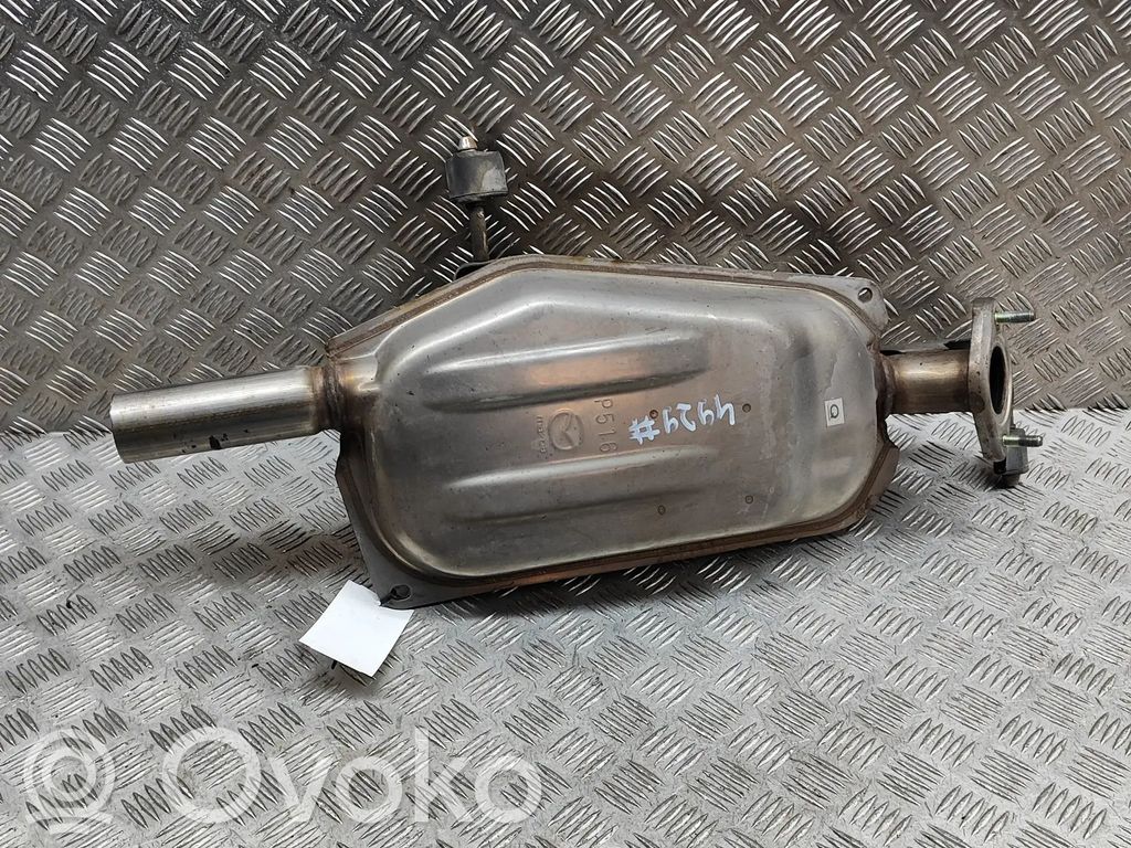 Galinė pūslė   P51640100B