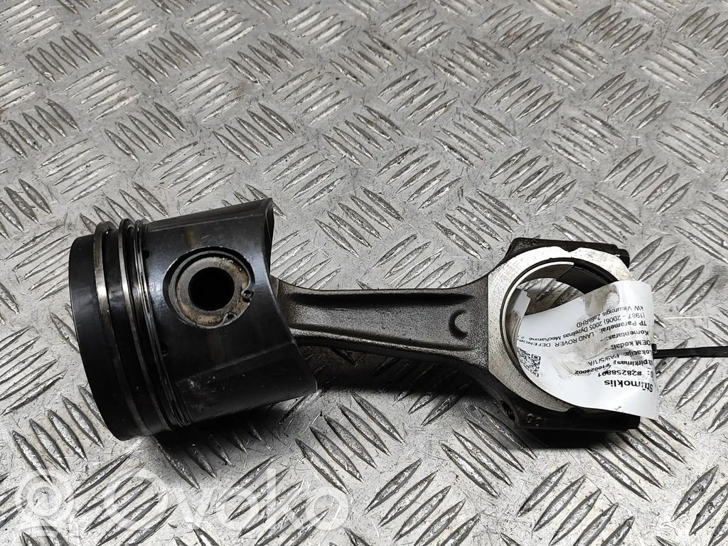 Piston   ERR6953,LFL000450