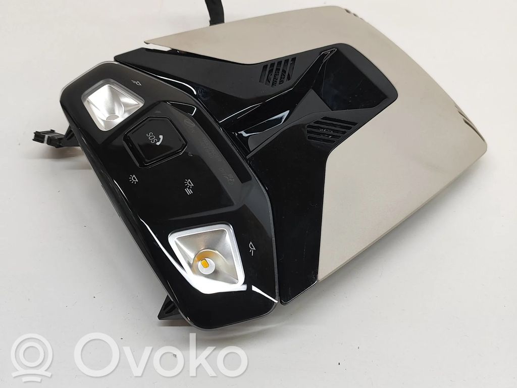 BMW iX1 Front seat light 