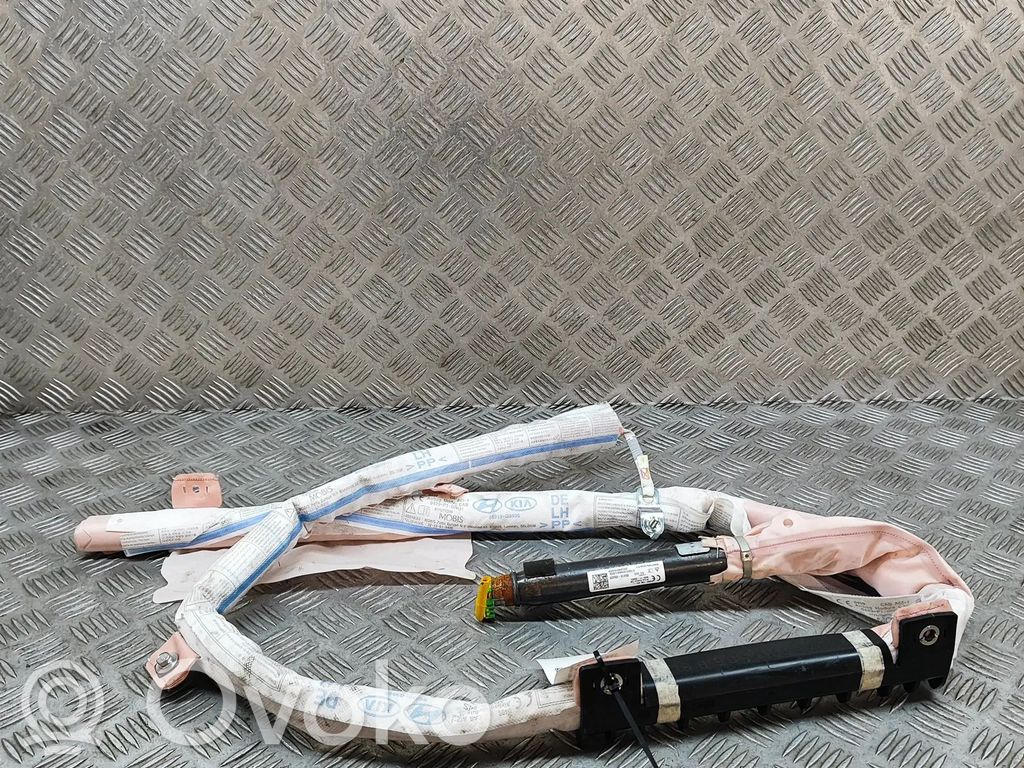 Kopfairbag   85010G5000