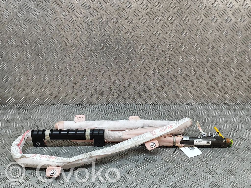 KIA Niro Airbag cortină 
