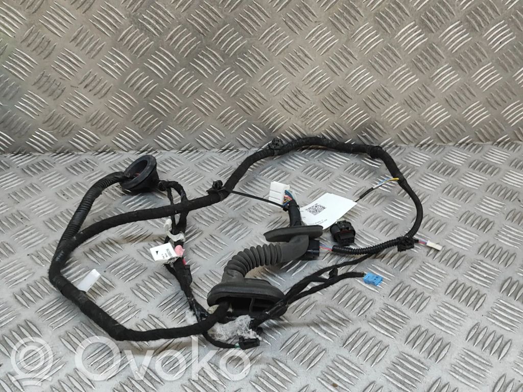 Other wiring loom   206796600A