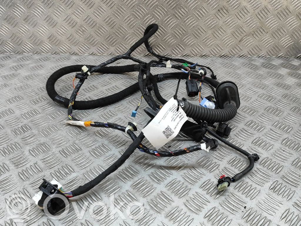 Tesla Model Y Cableado de puerta delantera 