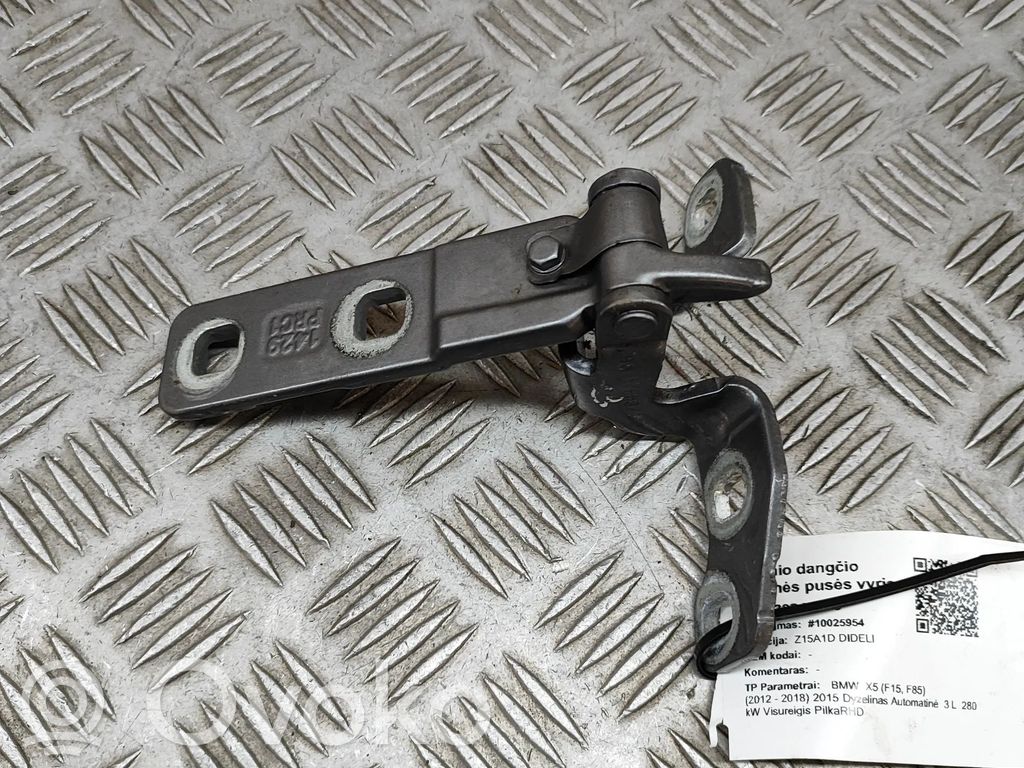 BMW X5 F15 Cerniera portellone posteriore/bagagliaio 