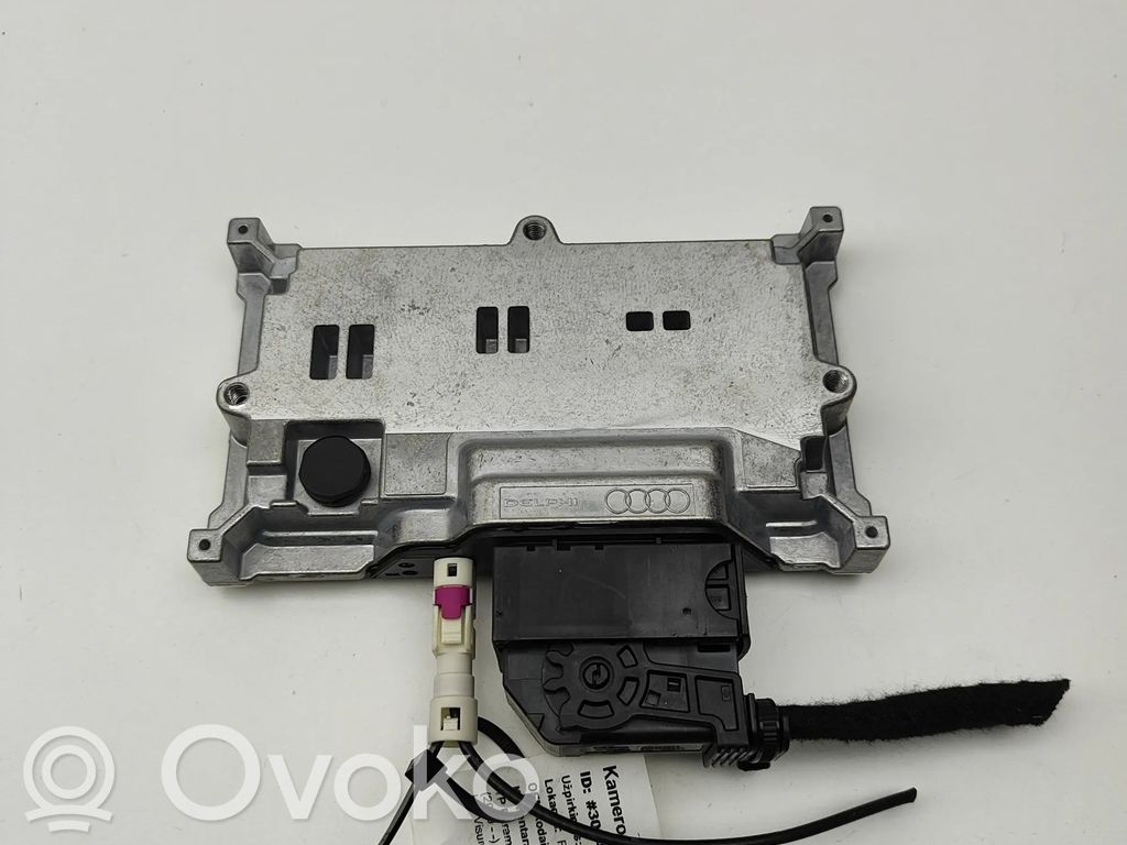 Porsche Cayenne (9Y0 9Y3) Video control module 