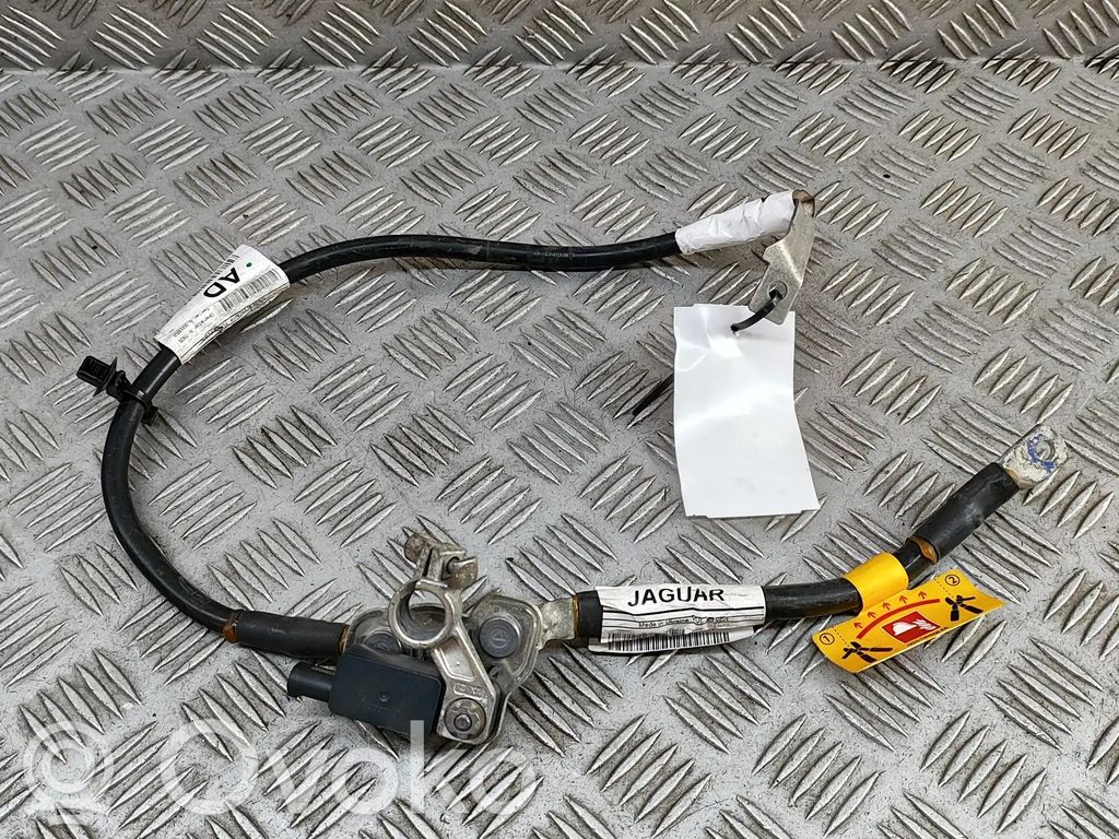 Jaguar I-Pace Cable negativo de tierra (batería) 