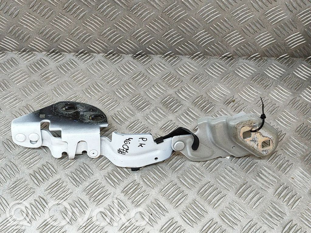 Tesla Model 3 Engine bonnet/hood hinges 