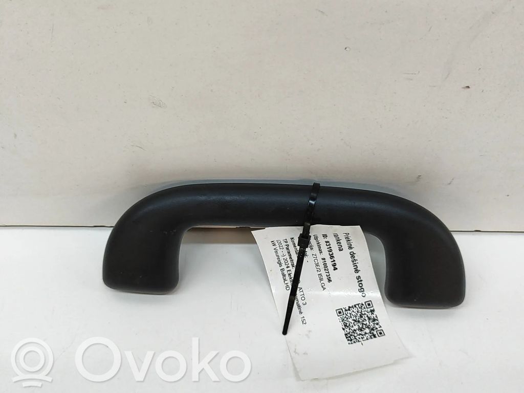 BYD Atto 3 Asidero interior delantero 