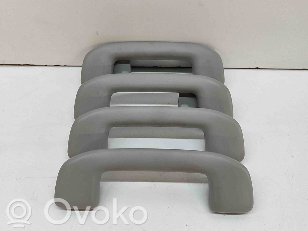 Toyota RAV 4 (XA50) Komplet uchwytów do sufitu 