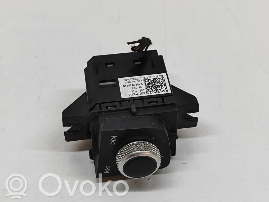 Mando de control del sonido   8W2919616