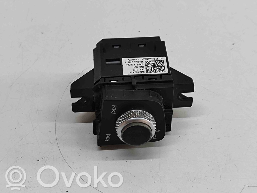 Mando de control del sonido   8W2919616