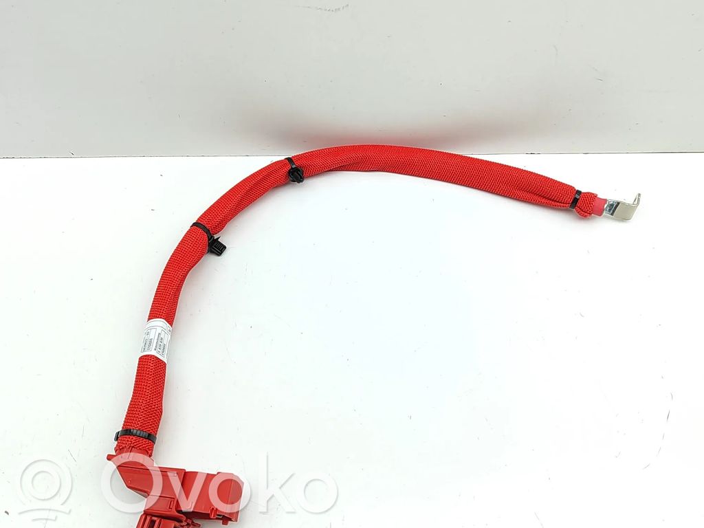 BMW X3 G01 Cavo positivo (batteria) 