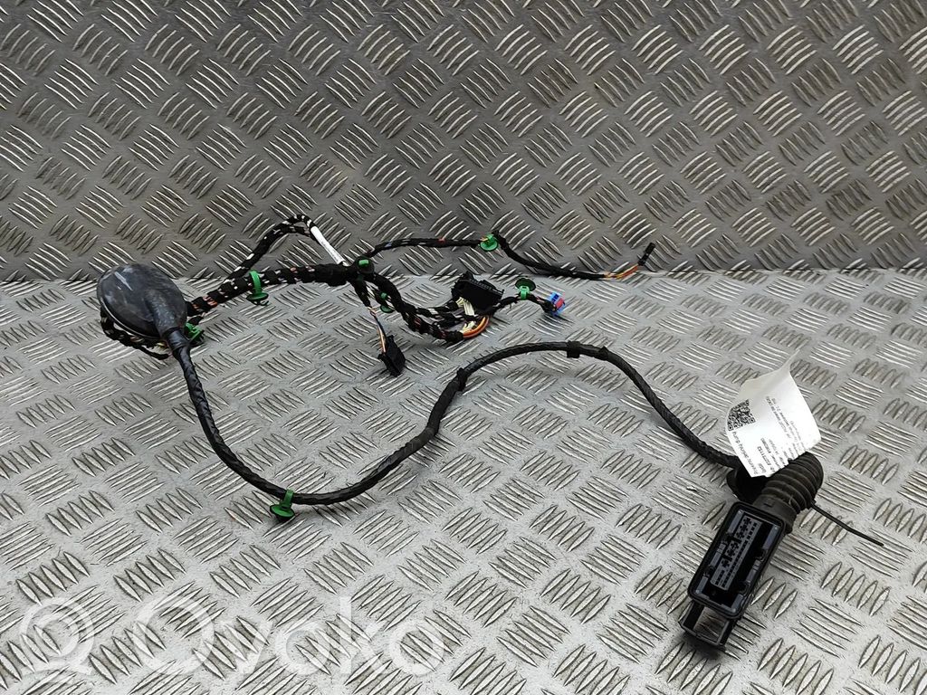 Volkswagen PASSAT B8 Cableado de puerta delantera 