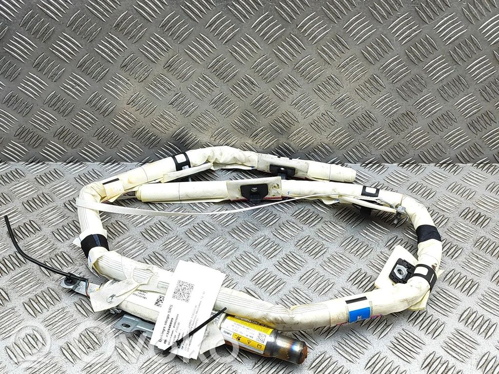 Ford Focus Airbag del techo 