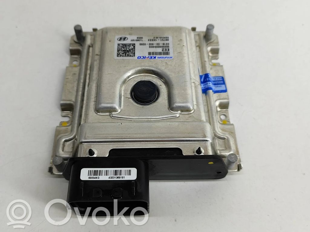 Engine control unit/module   397511XEE2