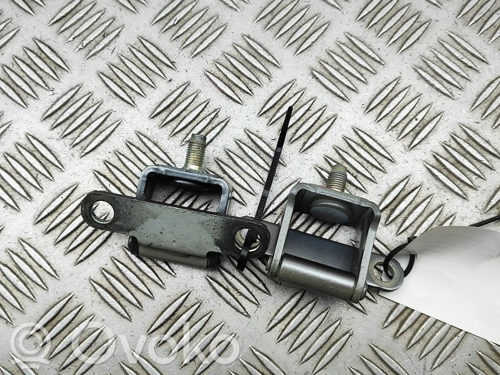 KIA Niro Tailgate/trunk/boot hinge 