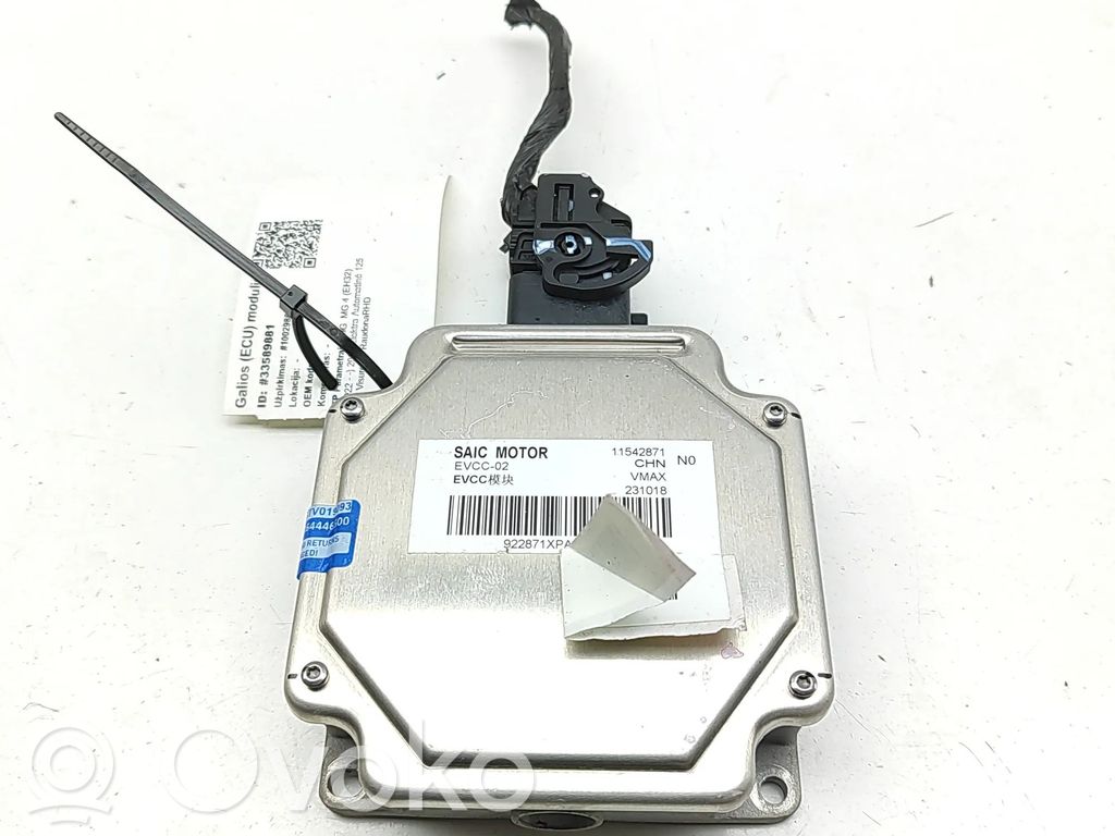 MG MG4 ev Unité de commande, module ECU de moteur 