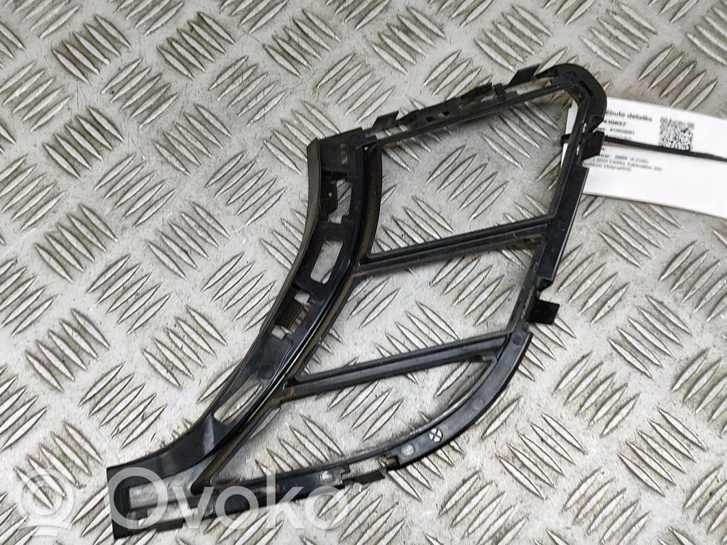 Rejilla delantera   8081682