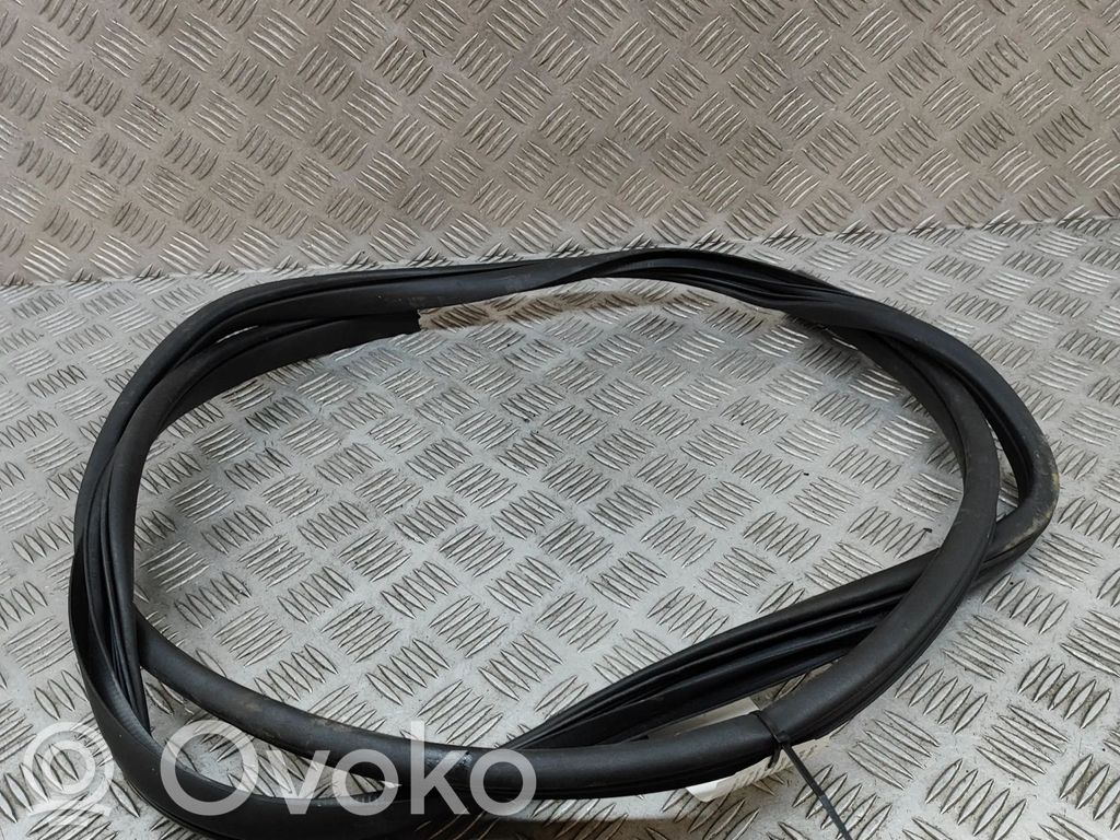 Gumowa uszczelka drzwi tylnych   831202T000