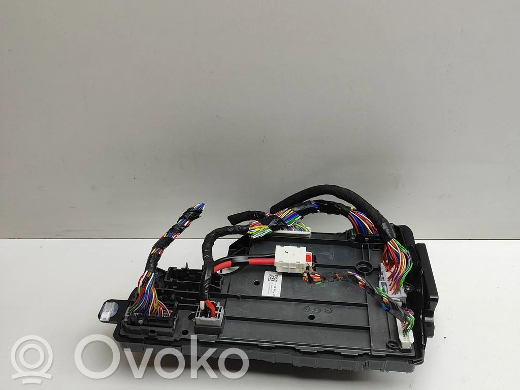 Central body control module   189968730C