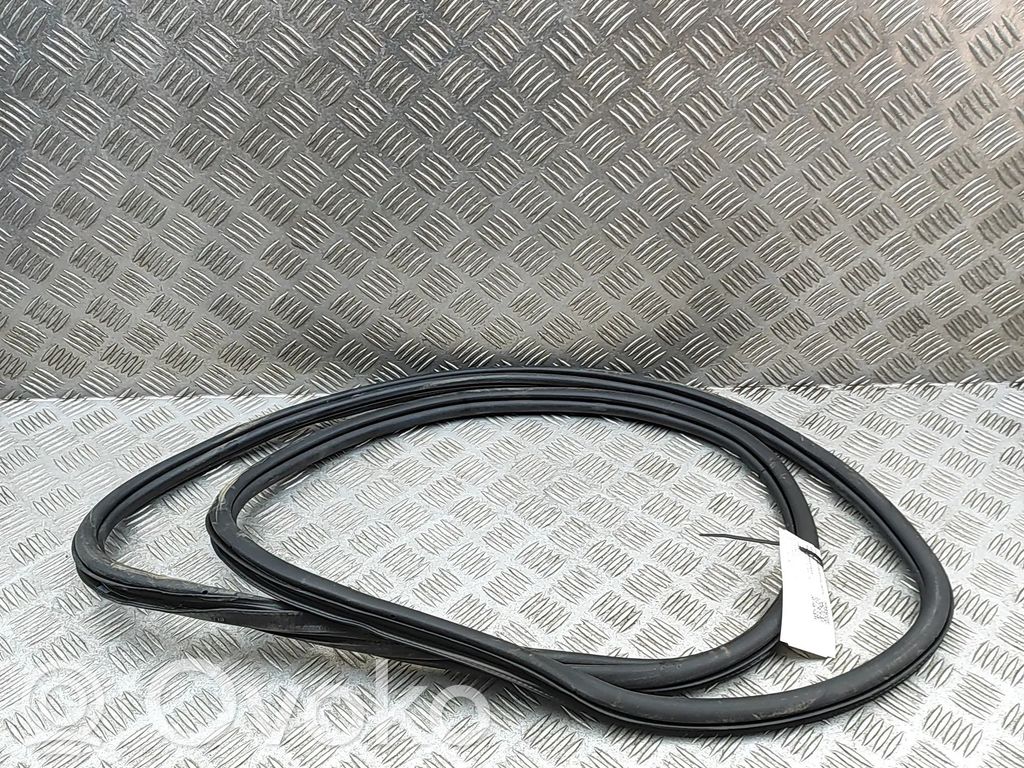 Volkswagen PASSAT B8 Guarnizione in gomma portiera posteriore