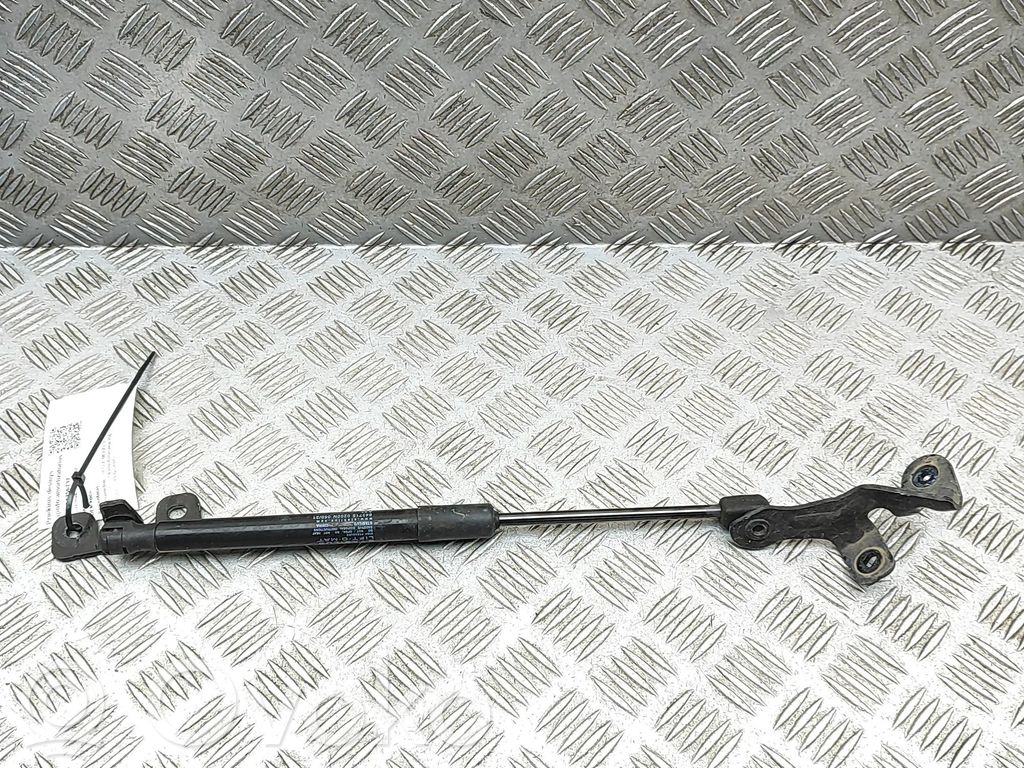 Tesla Model 3 Ammortizzatore portellone anteriore/cofano