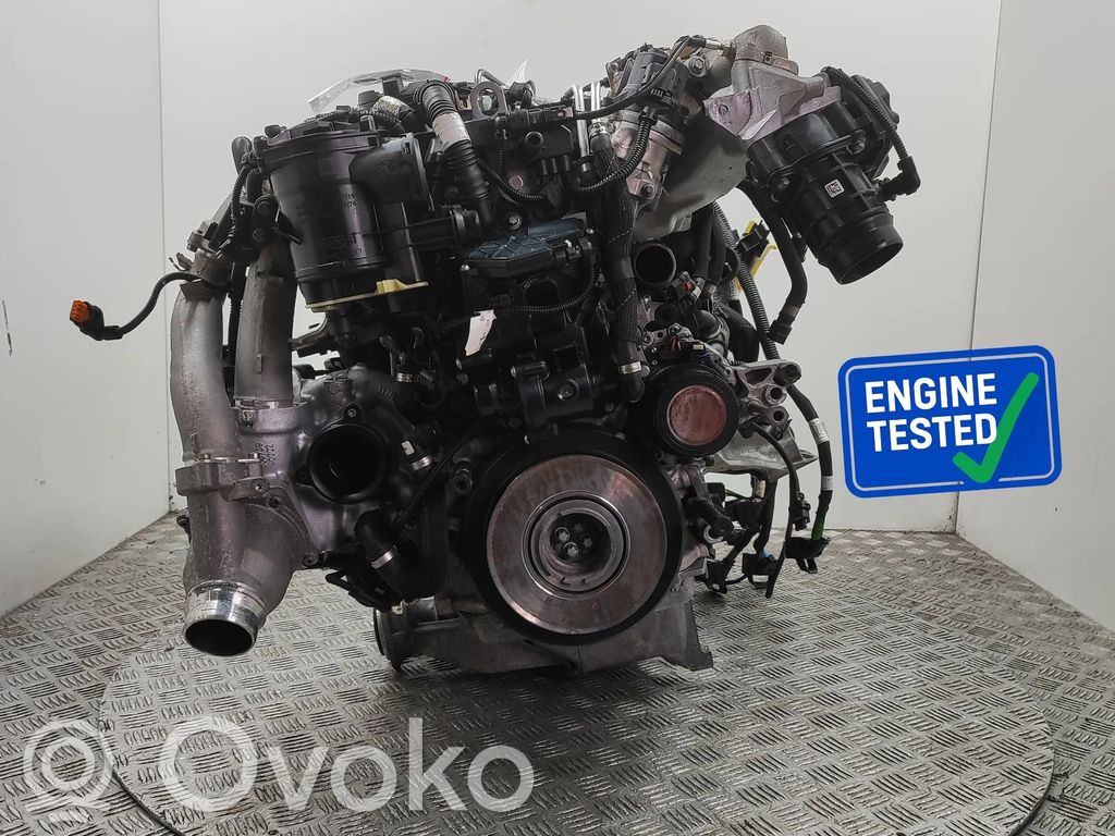 Variklis   B57D30B